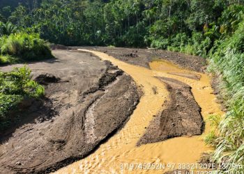 Putra Kluet Tengah Minta Aparat penegak Hukum Telusuri Penyebab Sungai Menggamat Keruh