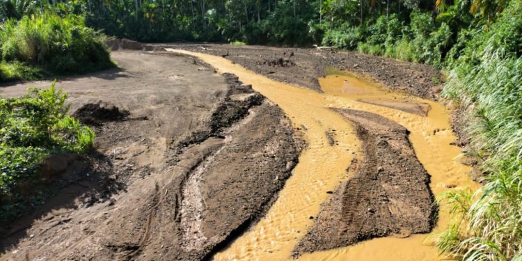 Putra Kluet Tengah Minta Aparat penegak Hukum Telusuri Penyebab Sungai Menggamat Keruh
