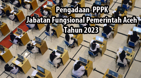 Pemerintah Aceh Rekrut PPPK Tahun 2023 Sebanyak 3.408 Orang, Catat Formasinya !!!