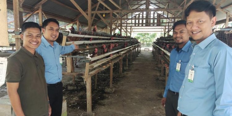 UMKM Tangguh Bank Aceh, Jurus Maulidi Menjaga Pasokan Telur di Aceh