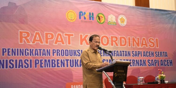 Pulau Aceh dan Pulau Raya Ditetapkan Sebagai Lokasi Pengembangan Sapi Aceh