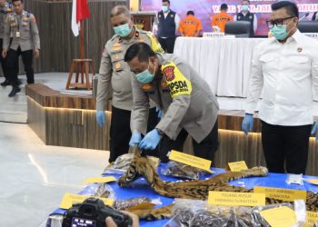 Ungkap Kasus Perdagangan Satwa, Kapolda Aceh: Wujud Komitmen Kita dalam Menjaga Ekosistem Alam