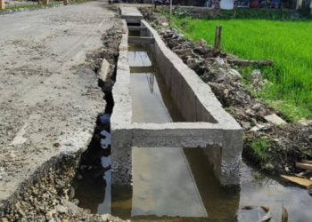 Terkait Proyek Drainase Rp 1.3 Miliar Asal Jadi di Kota Fajar, Kadis Perkim Aceh Bungkam