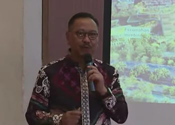 Luasnya Empat Kali Jakarta, IKN akan Jadi Kota Layak Huni