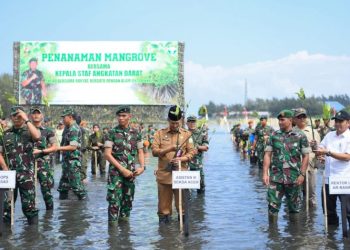 Asisten Sekda Aceh Ikut Tanam Bibit Mangrove Bersama KSAD di Gampong Blang