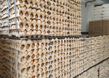 Menjelang Ramadhan, Harga Telur Naik