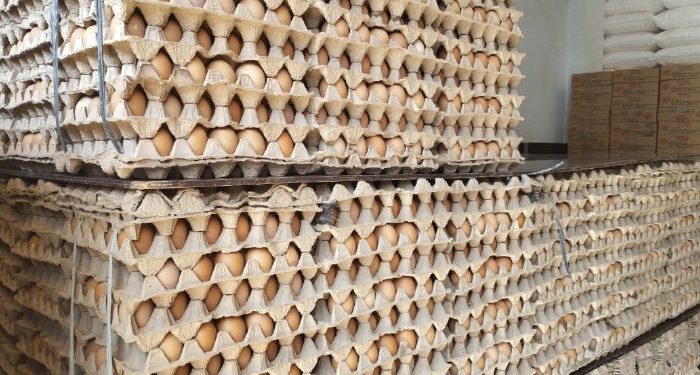 Menjelang Ramadhan, Harga Telur Naik