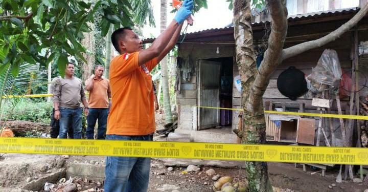 Penambang Emas di Aceh Selatan Gantung Diri Di Pohon Mangga