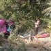 Hilang Kendali, Microbus Terjun Kejurang di Krueng Raya