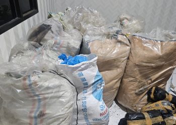 Polda Aceh Berhasil Ungkap Kasus Narkotika, 300 Kg Ganja Siap Edar Diamankan