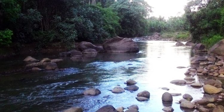 Pemandian Krueng Sawang: Surga Tersembunyi di Aceh Utara