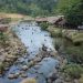 Sungai Lhok Buloh, Lokasi Wisata Nan Indah Di Aceh Utara