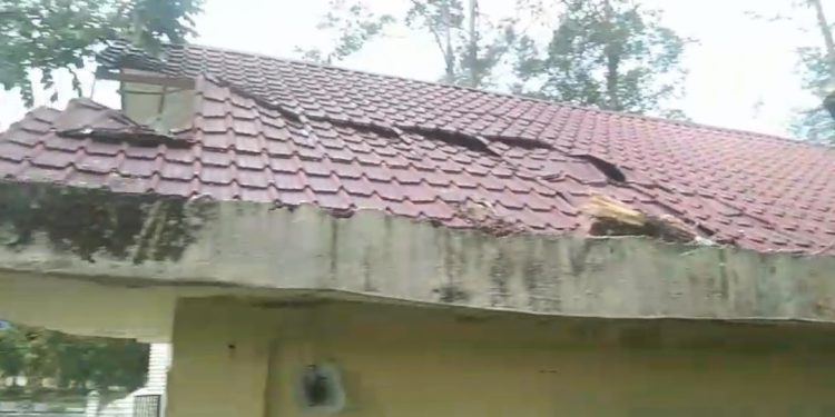 Pohon Tumbang Rusak Kantor PWI Aceh Besar