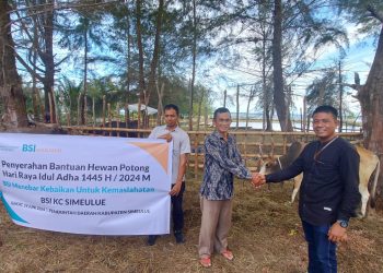 Idul Adha Tahun 1445 Hijriah, BSI Region Aceh Salurkan Hewan Qurban