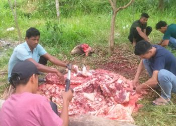 RSUD Aceh Besar Sembelih 1 Ekor Sapi dan Dua Kambing  Kurban pada Hari Raya Idul Adha 1445 H