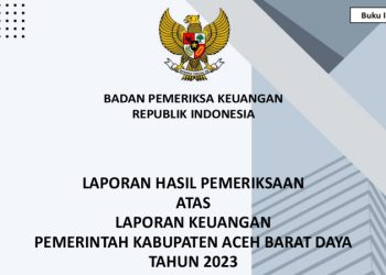 Bantuan Hibah di Dinas Koperasi Abdya Jadi Temuan BPK