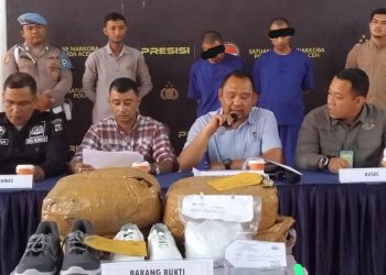 Kirim 4,3 Kg Ganja via Bandara, IRT asal Jakarta Ditangkap
