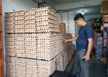 Harga Telur di Banda Aceh Capai Rp50 Ribu, Minyak Goreng Curah Turun Tipis