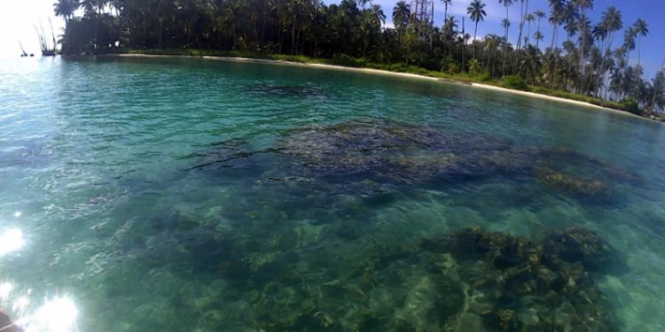 Pulau Lamun, Permata Tersembunyi di Aceh Singkil