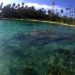 Pulau Lamun, Permata Tersembunyi di Aceh Singkil