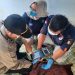 Tim DVI Pusdokkes Polri Identifikasi Korban Laka Sungai di Aceh Tenggara