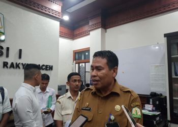 Tenaga Kontrak yang Tak Lulus PPPK Tahap I Diprioritaskan Menjadi Pegawai Penuh Waktu