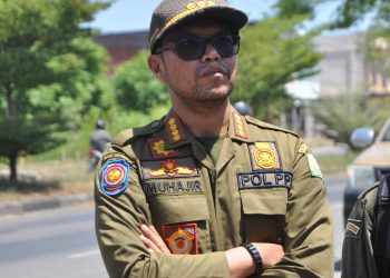 Satpol PP Aceh Besar Komit Tertibkan Hewan Ternak Berkeliaran