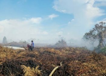 Lahan Terbakar di Aceh Barat Capai 7,5 Hektare, Pemadaman Terkendala Sumber Air