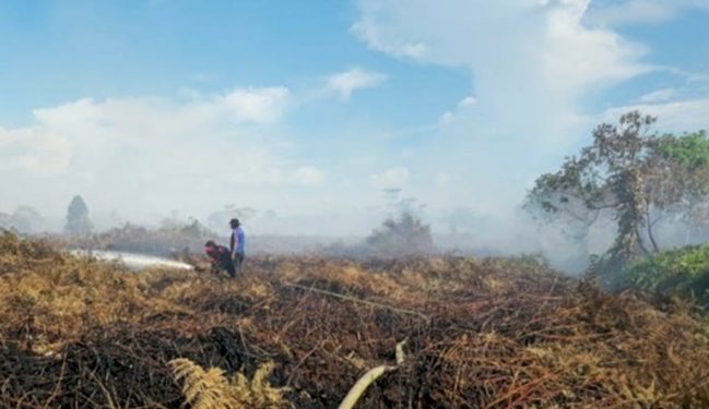 Lahan Terbakar di Aceh Barat Capai 7,5 Hektare, Pemadaman Terkendala Sumber Air