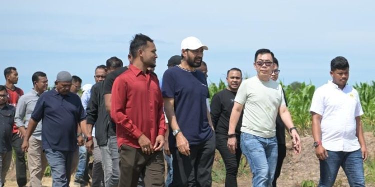 Tinjau Lahan Rencana Pembangunan Pabrik Rokok di Aceh Utara, Mualem : Pembangunan Langsung Dimulai Sekarang!