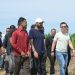 Tinjau Lahan Rencana Pembangunan Pabrik Rokok di Aceh Utara, Mualem : Pembangunan Langsung Dimulai Sekarang!