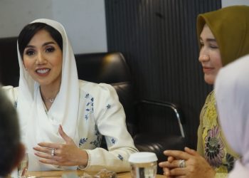 Bertemu Penasehat DWP, Marlina Muzakir  minta Penguatan Dukungan terhadap UMKM dan Produk Kreatif Aceh