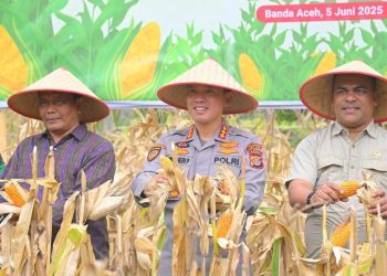 Staf Ahli Hadiri Panen Raya Jagung Kuartal II Serentak