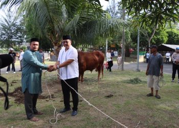 Hari Raya Iduladha 1446 H, Kapolda Aceh Serahkan Hewan Kurban untuk Masyarakat