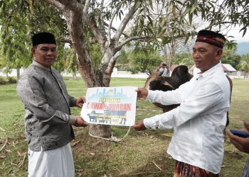 Usai Shalat Ied, Pemkab Aceh Besar Serahkan 4 Hewan Qurban
