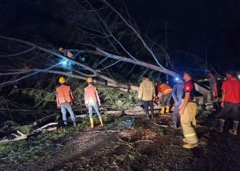Aceh Besar Diterjang Angin 70 Km/Jam: Rumah Hancur, Sekolah Rusak, Warga Cemas!