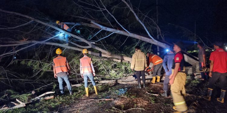 Aceh Besar Diterjang Angin 70 Km/Jam: Rumah Hancur, Sekolah Rusak, Warga Cemas!