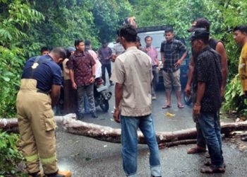 Hujan Deras Disertai Angin Kencang Landa Aceh Besar, BPBD Imbau Masyarakat Waspada