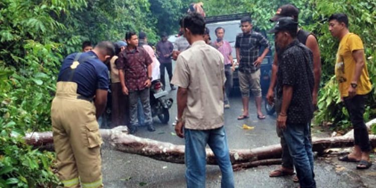 Hujan Deras Disertai Angin Kencang Landa Aceh Besar, BPBD Imbau Masyarakat Waspada