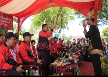 Wagub Fadhlullah Sambut Peserta Pawai Budaya HUT ke-80 RI
