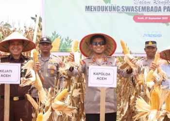 Kapolda Panen 24,5 Ton Jagung pada Kuartal III di Aceh Jaya