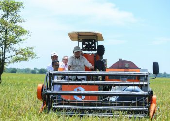 Kebijakan Pangan Nasional Mulai Berbuah: 77 Persen Publik Nilai Kenaikan Harga Gabah Dongkrak Kesejahteraan Petani