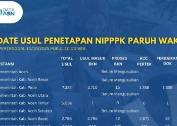 Sejumlah Daerah di Aceh Belum Usulkan NIPPPK Paruh Waktu