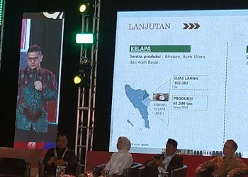 Kanwil Bea Cukai Aceh Hadiri Seminar Nasional Ekspor Impor Berbasis Komoditi Lokal, Perkenalkan Portal OSI UMKM