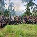 Tim Gabungan Musnahkan 69 Ton Ganja di Aceh Utara, Bea Cukai Lhokseumawe Turut Berperan