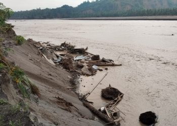 Banjir Dahsyat Landa Bireuen: Satu Kampung Jadi Sungai, Puluhan Rumah Hilang Diseret Arus
