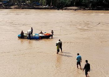 Panen Raya Cabai di Aceh Tengah–Bener Meriah Terjepit Banjir, Harga Anjlok hingga Rp5.000/Kg