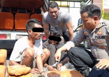 Polres Aceh Tenggara Gagalkan Peredaran 50,7 Kg Ganja, Dua Pelaku Dijanjikan Upah Rp150 Ribu per Kilogram