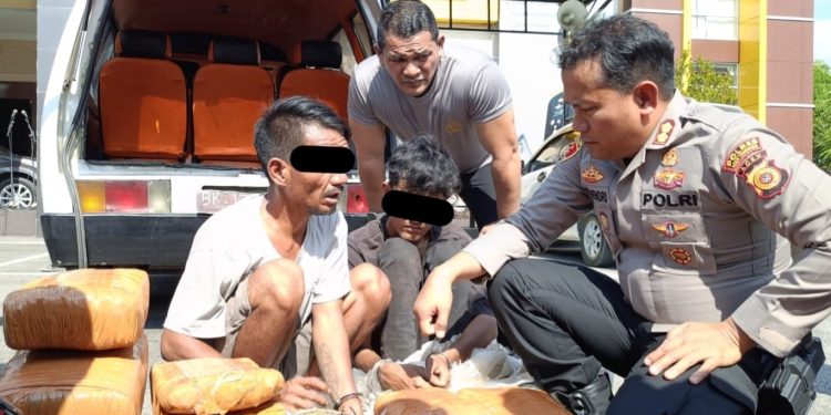 Polres Aceh Tenggara Gagalkan Peredaran 50,7 Kg Ganja, Dua Pelaku Dijanjikan Upah Rp150 Ribu per Kilogram