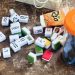 Jam Sekolah Dipakai Main Domino, Siswa SMA Terjaring Razia Satpol PP Aceh
